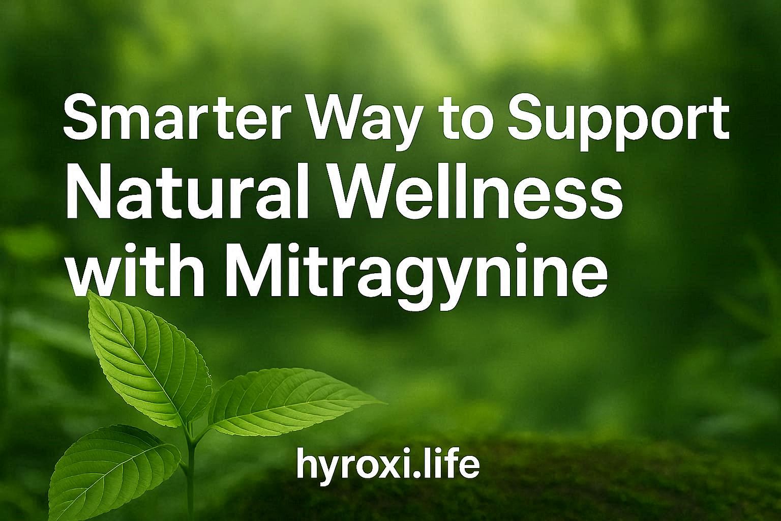 2cb3d64a 330c 43f5 9aee a2ce42a3fafe